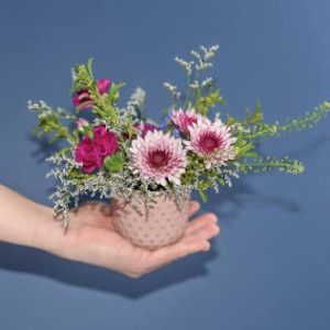 Designers choice mini flower arrangement